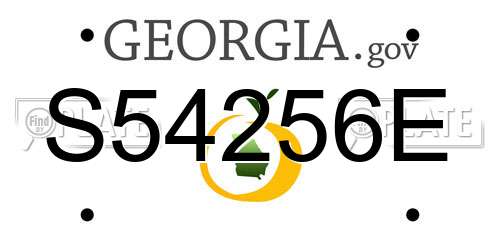 S54256E Georgia License Plate