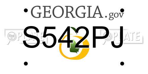 S542PJ Georgia License Plate