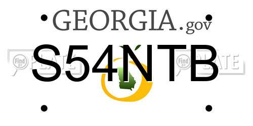 S54NTB Georgia License Plate