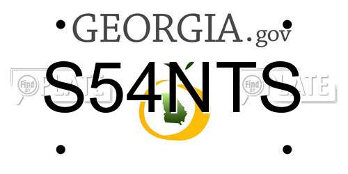 S54NTS Georgia License Plate
