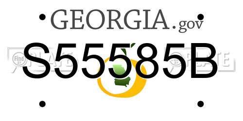 S55585B Georgia License Plate