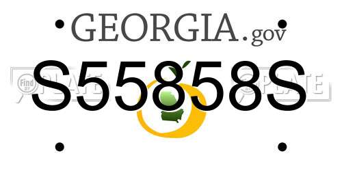 S55858S Georgia License Plate