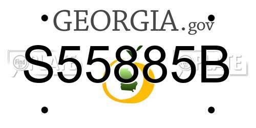 S55885B Georgia License Plate
