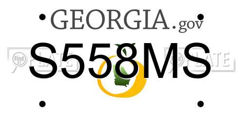 S558MS Georgia License Plate