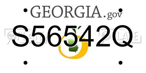 S56542Q Georgia License Plate