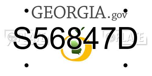 S56847D Georgia License Plate