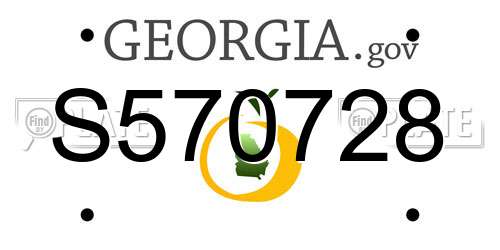S570728 Georgia License Plate