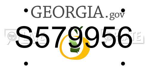 S579956 Georgia License Plate