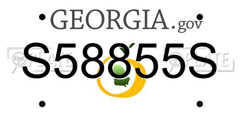 S58855S Georgia License Plate