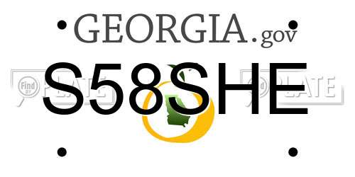 S58SHE Georgia License Plate