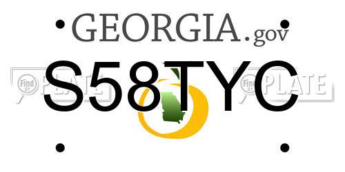 S58TYC Georgia License Plate