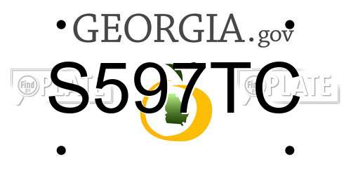 S597TC Georgia License Plate
