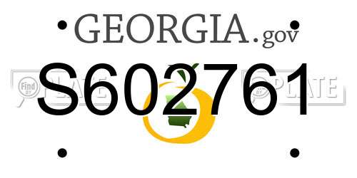 S602761 Georgia License Plate