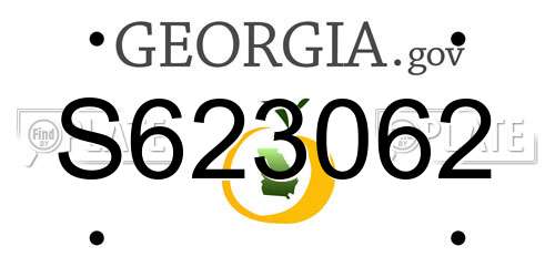 S623062 Georgia License Plate