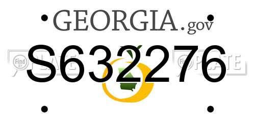 S632276 Georgia License Plate