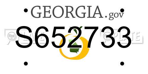 S652733 Georgia License Plate