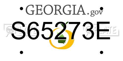 S65273E Georgia License Plate