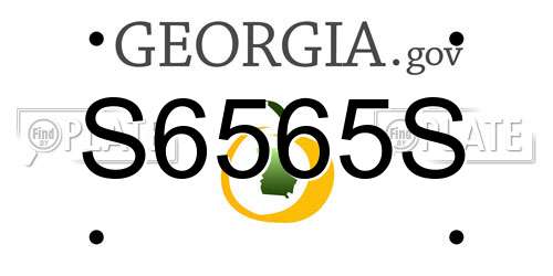 S6565S Georgia License Plate