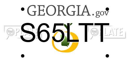 S65LTT Georgia License Plate
