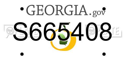 S665408 Georgia License Plate