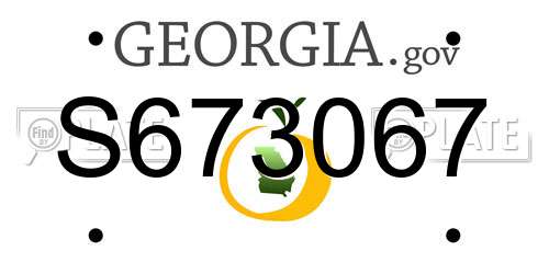 S673067 Georgia License Plate