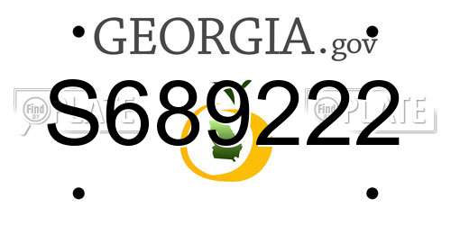 S689222 Georgia License Plate