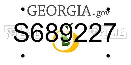 S689227 Georgia License Plate