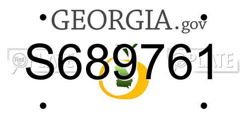 S689761 Georgia License Plate