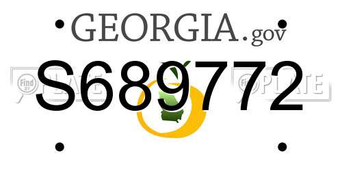 S689772 Georgia License Plate