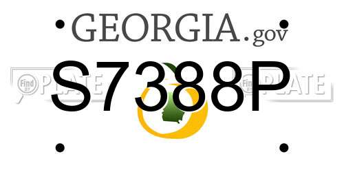 S7388P Georgia License Plate