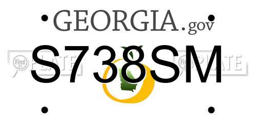 S738SM Georgia License Plate
