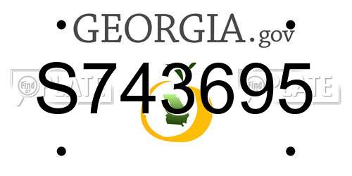 S743695 Georgia License Plate