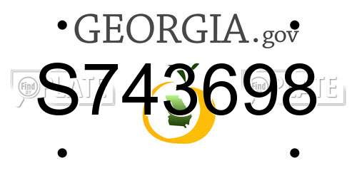 S743698 Georgia License Plate