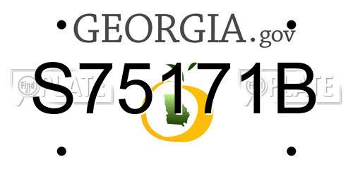 S75171B Georgia License Plate