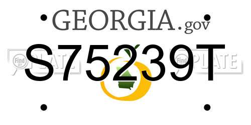 S75239T Georgia License Plate