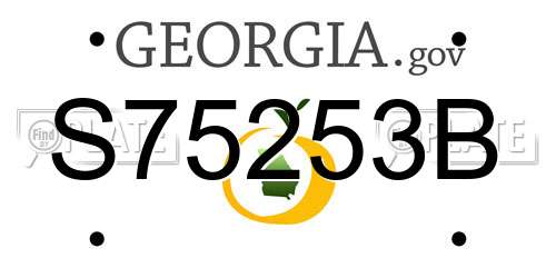 S75253B Georgia License Plate