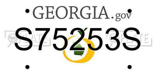 S75253S Georgia License Plate