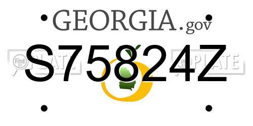 S75824Z Georgia License Plate