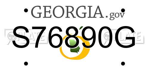 S76890G Georgia License Plate
