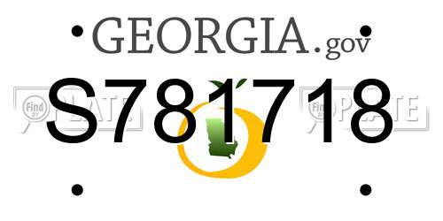 S781718 Georgia License Plate