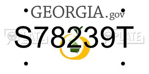 S78239T Georgia License Plate