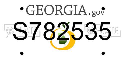 S782535 Georgia License Plate