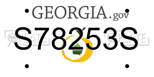 S78253S Georgia License Plate