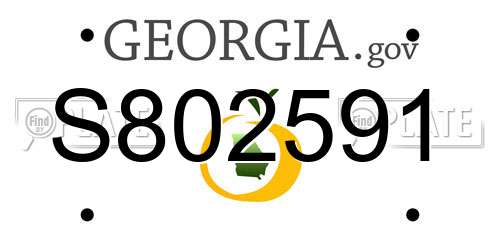 S802591 Georgia License Plate
