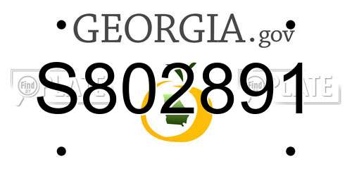 S802891 Georgia License Plate