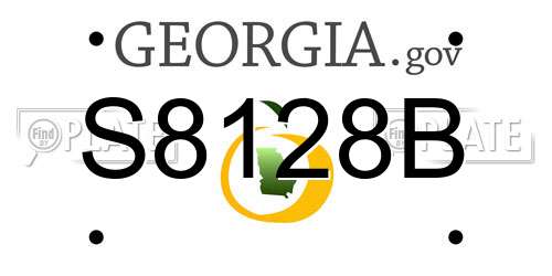S8128B Georgia License Plate