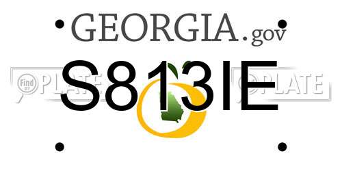 S813IE Georgia License Plate