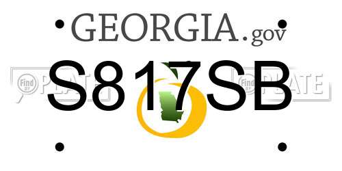 S817SB Georgia License Plate