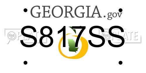 S817SS Georgia License Plate