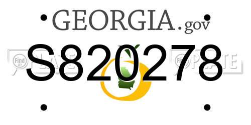 S820278 Georgia License Plate